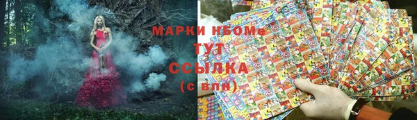 молекула духа Вязьма